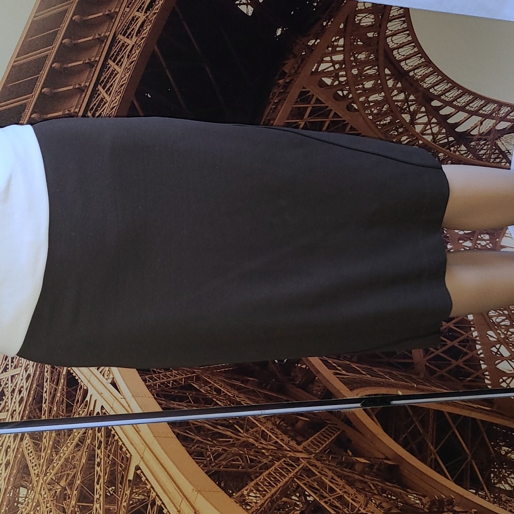 Chico's Brown "Slimming" Skirt. Size S/M. #2-0221